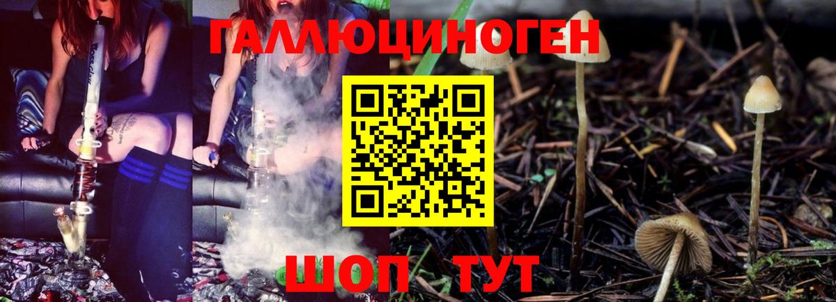 Галлюциногенные грибы MAGIC MUSHROOMS  Вход с VPN  Чехов 